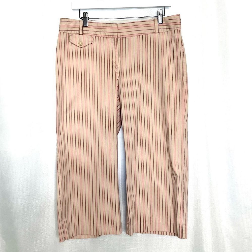 Express Design Studio Capri Pink on Pink Stripe Size 12